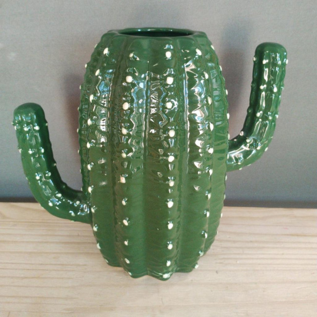 Cacto M