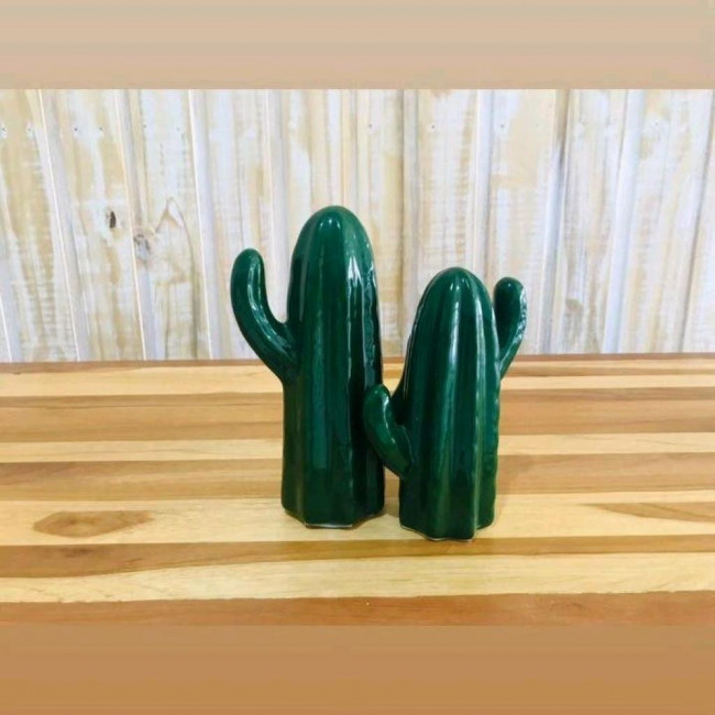 Mini cacto