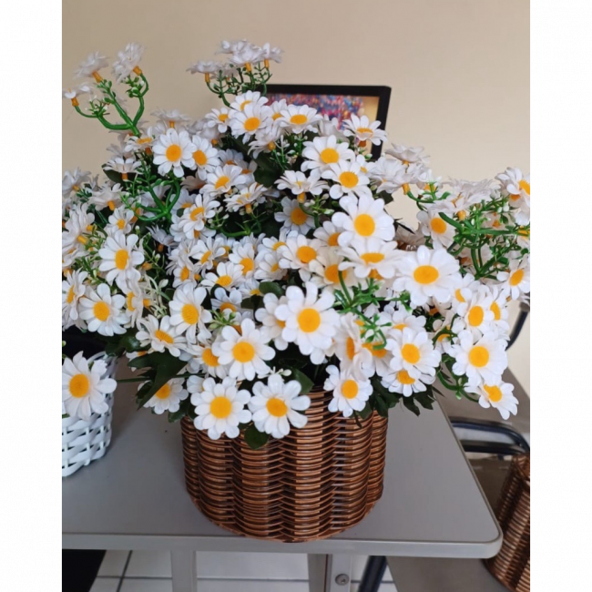 Margaridas