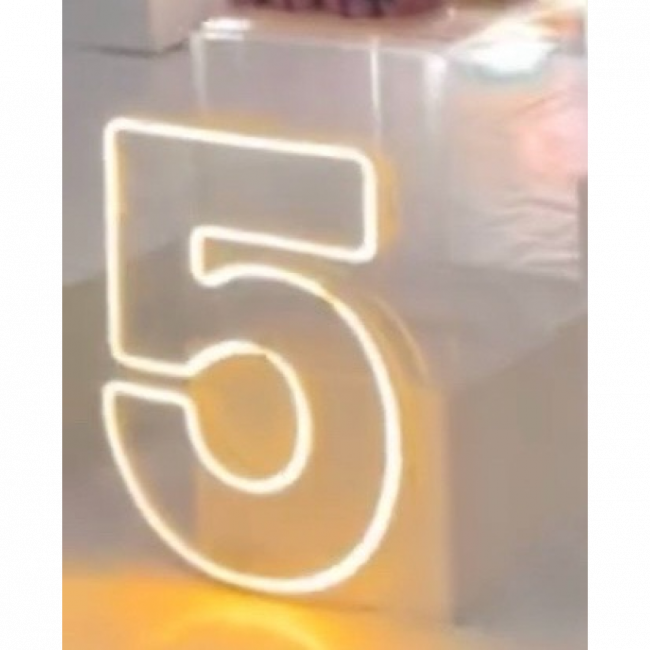 Número 5