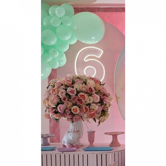 Número 6