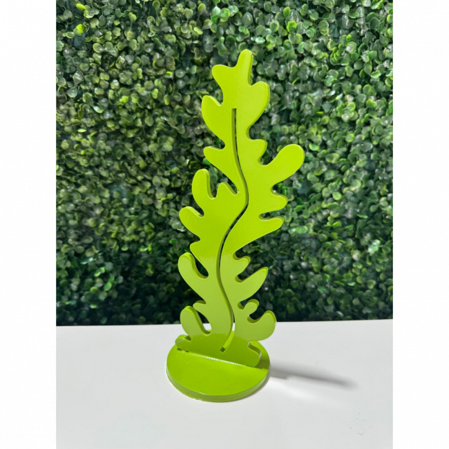 Alga Marinha Verde Folha M