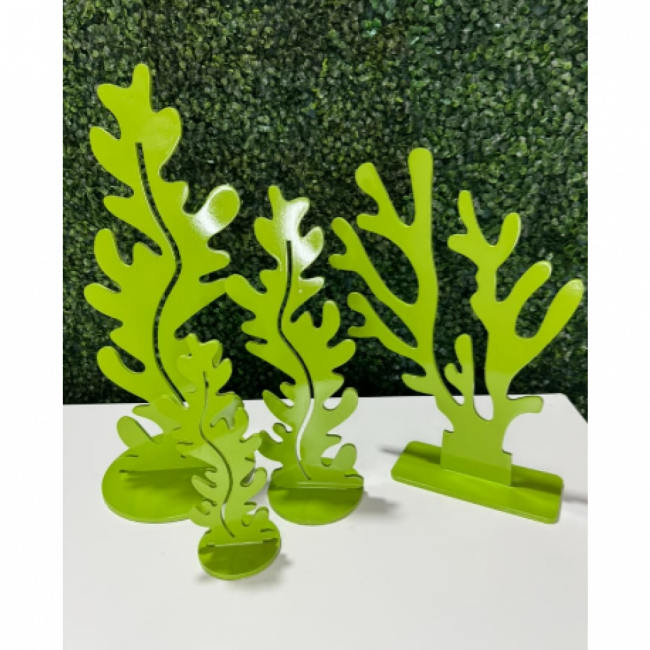 Alga Marinha Verde Folha P