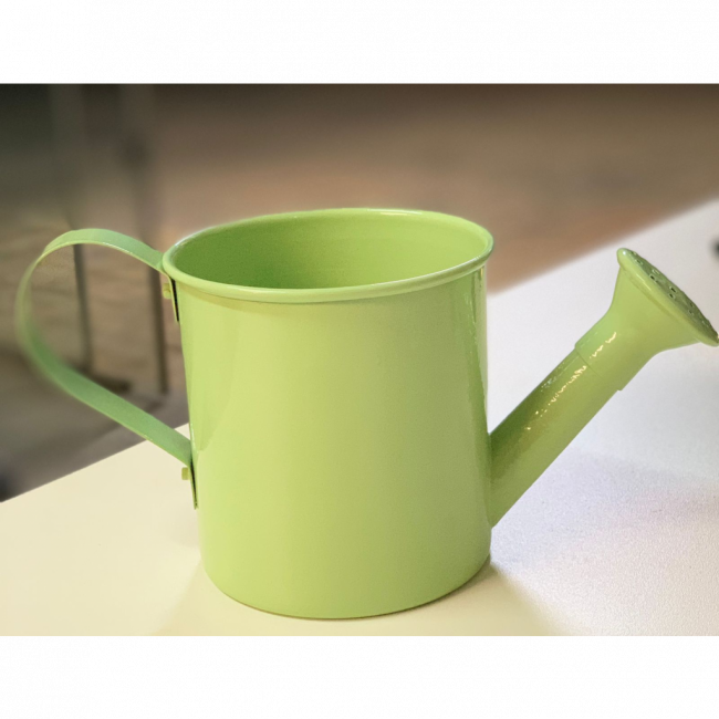 Mini Regador Verde