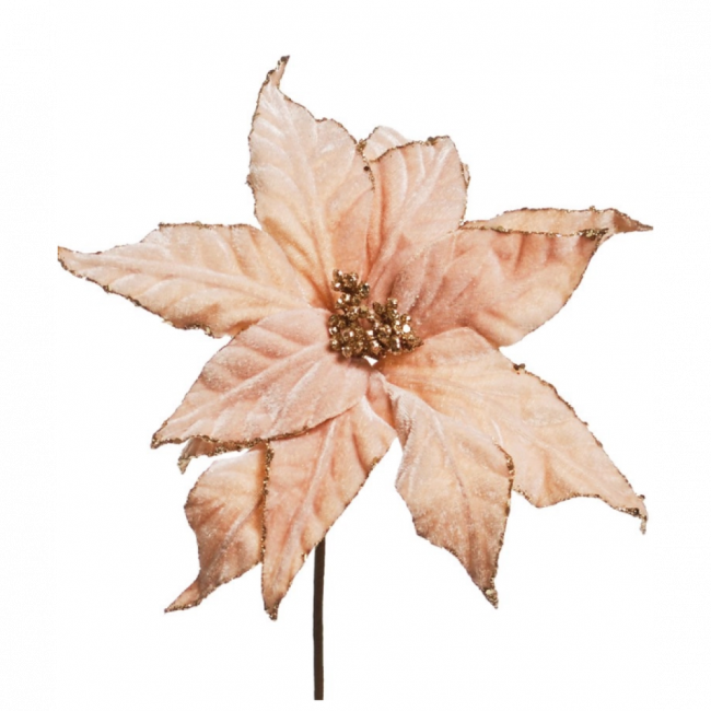 Flor Bege Natalina