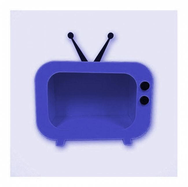 Televisão