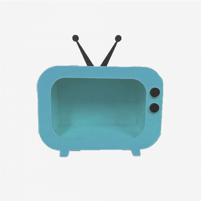 Televisão