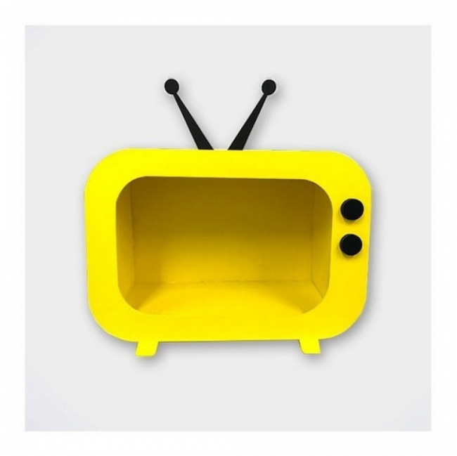 Televisão