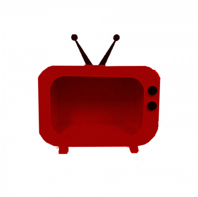 Televisão