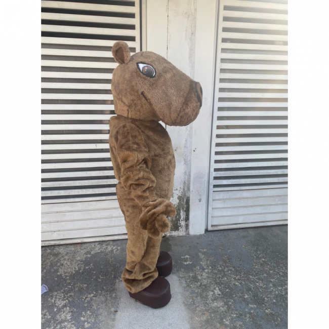 Capivara