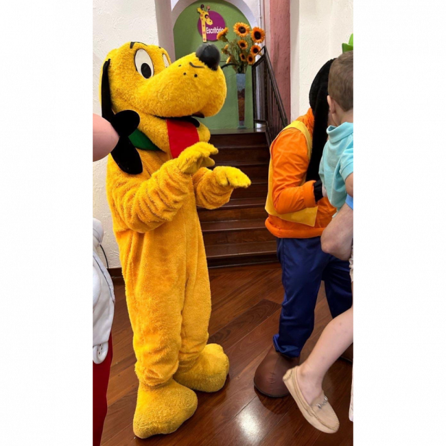 Pluto luxo