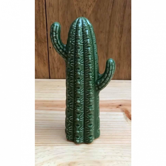 Cacto