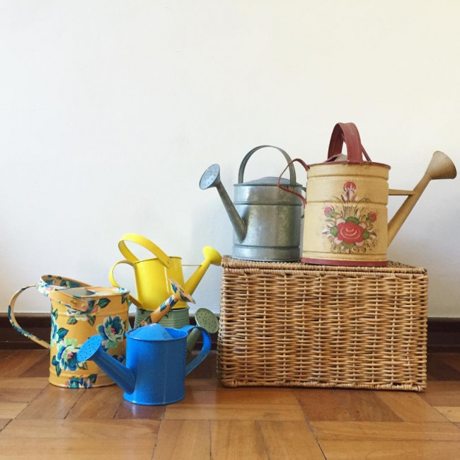 Cesta de Picnic G