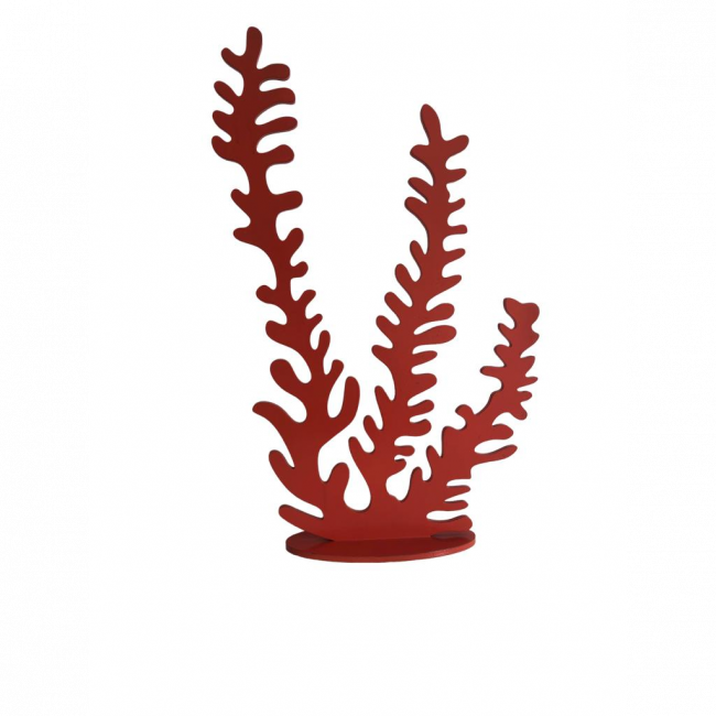 Alga mdf