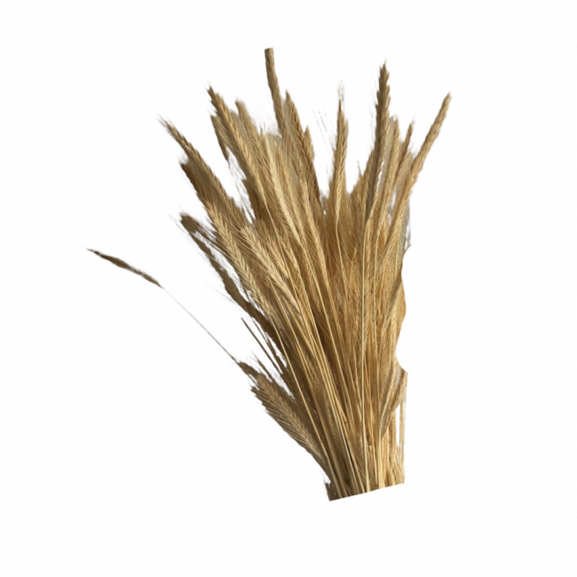Buquê trigo
