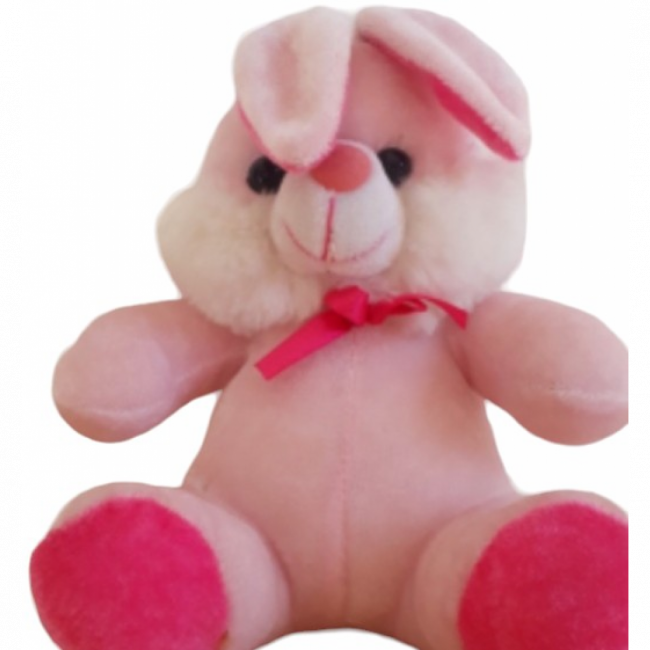 Coelho Rosa