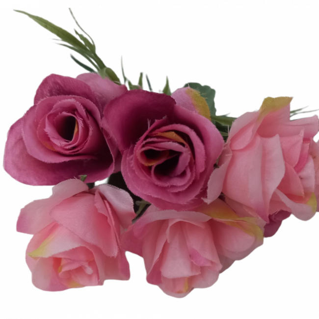 Haste Rosas