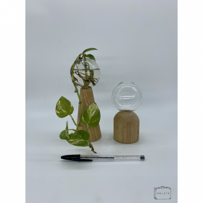 VASO COM BASE DE MADEIRA PEQUENO
