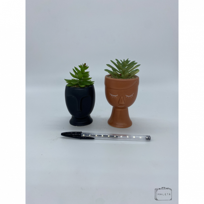 VASO DECORATIVO SUCULENTA
