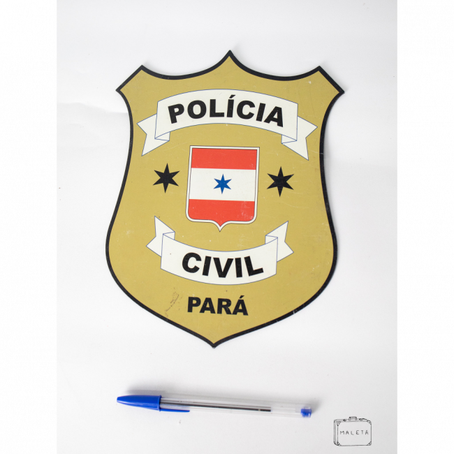 PLACA IMÃ \