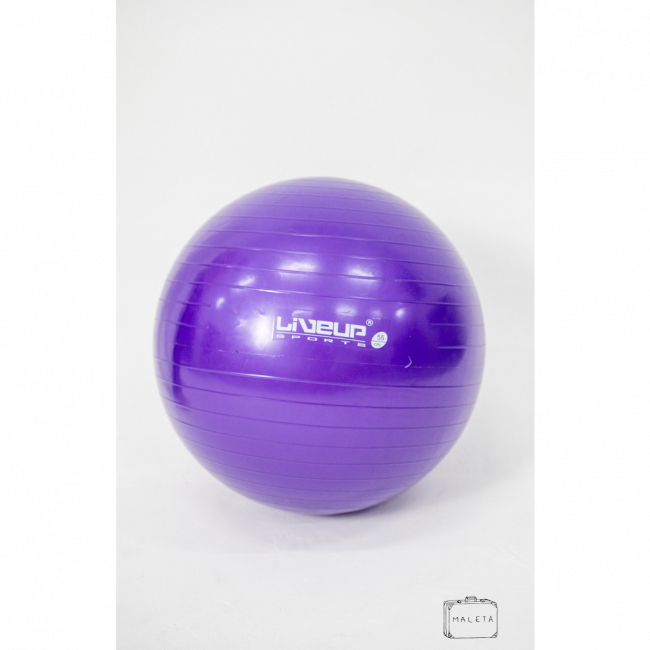 BOLA DE PILATES ROXA – D0,55