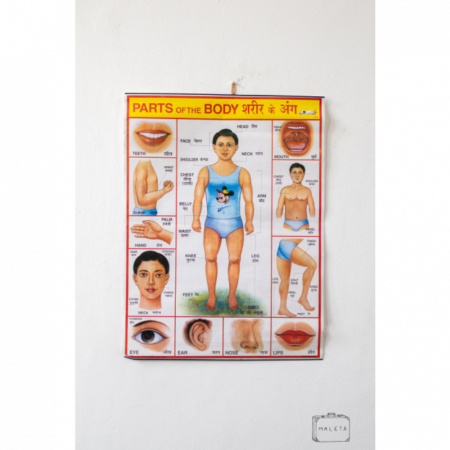 POSTER PARTS OF THE BODY