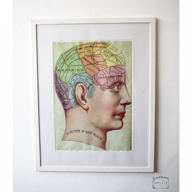 QUADRO CABEÇA COLORIDA – 75X95