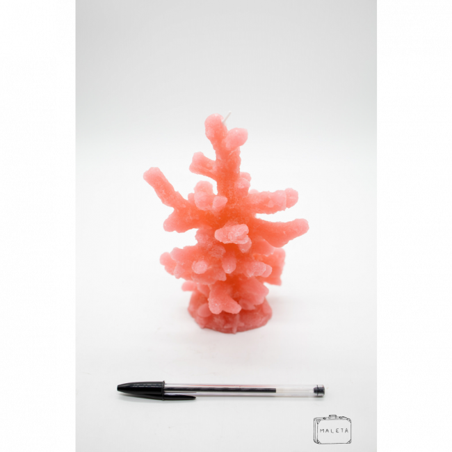 VELA CORAL ROSA M