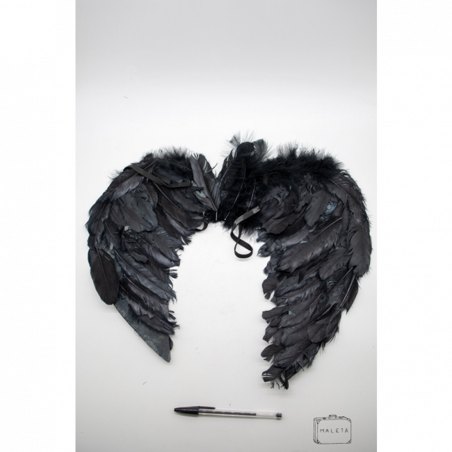 ASA PRETA ANJO DA NOITE