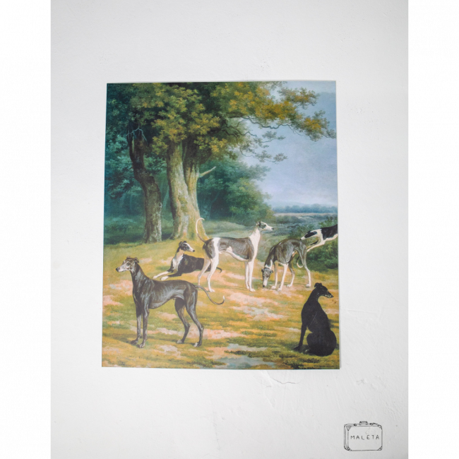 PLACA PVC CACHORROS - 0,53X0,66