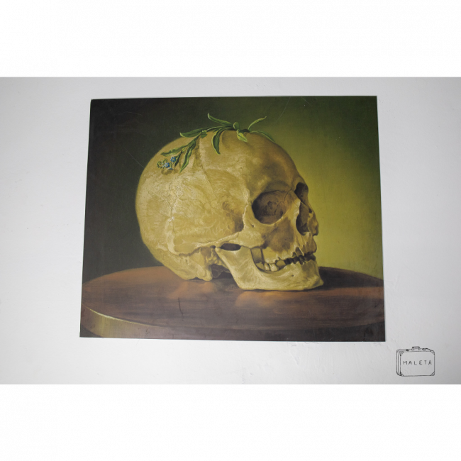 PLACA PVC CRÂNIO - 0,76X0,62