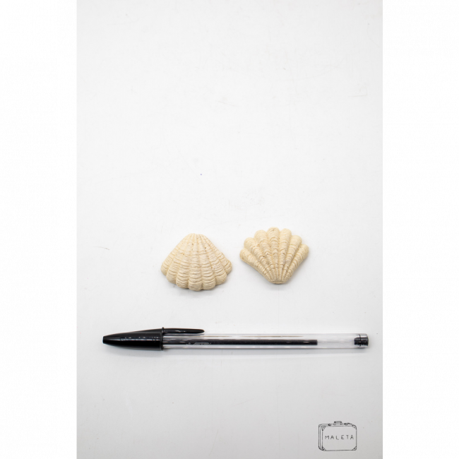 CONCHAS PEQUENAS