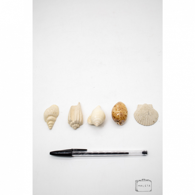 CONCHAS
