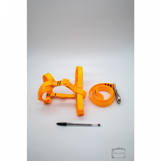 COLEIRA COM PEITORAL EM NYLON LARANJA NEON - LS