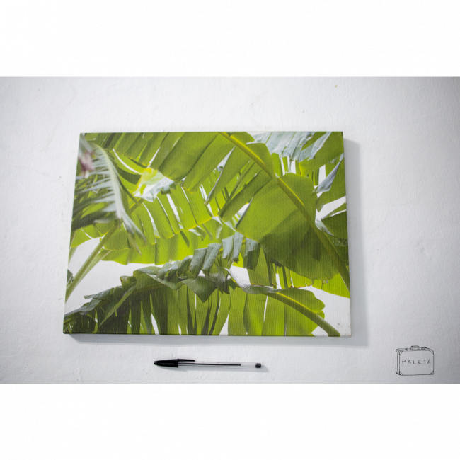 TELA FOLHA DE BANANEIRA - 40X30