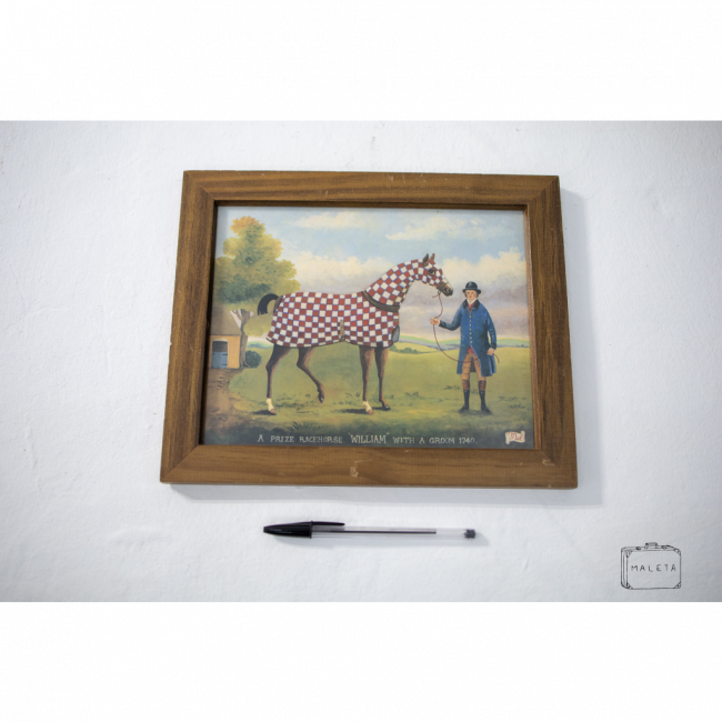 QUADRO CAVALO XADREZ - 30X25