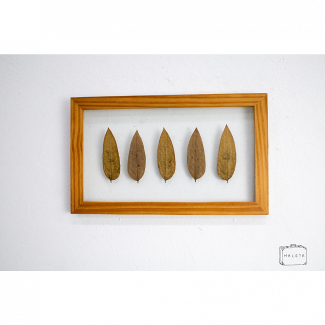 QUADRO FOLHAS - 24X15