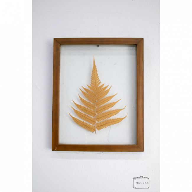 QUADRO FOLHA SAMAMBAIA - 20X26