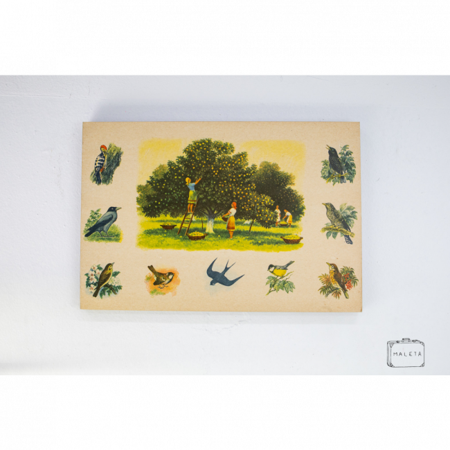 QUADRO MULHERES COLHENDO FRUTAS - 27X40