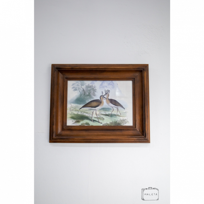 QUADRO PÁSSAROS MARROM - 45X35
