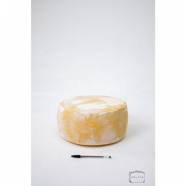 QUEIJO PARMESÃO INTEIRO COM FUNGOS - GRANDE