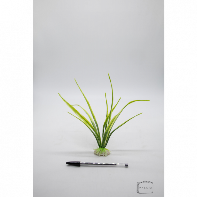 FOLHAGEM DECORATIVA PARA AQUÁRIO