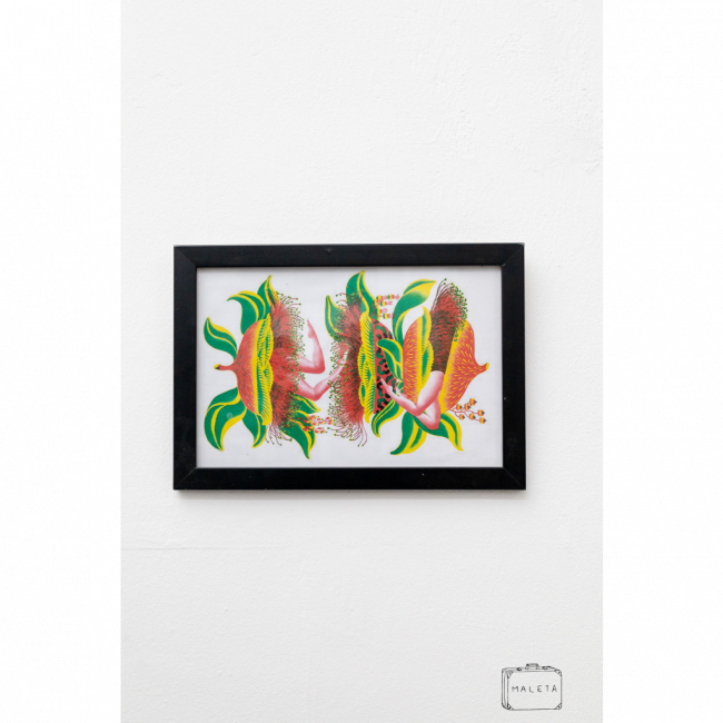 QUADRO FRUTO COM PERNAS - 34X24