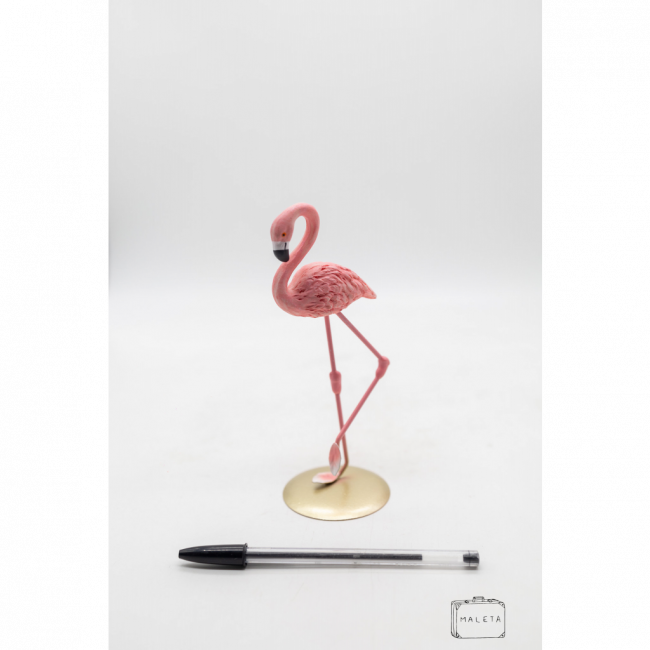 FLAMINGO COM PATA LEVANTADA