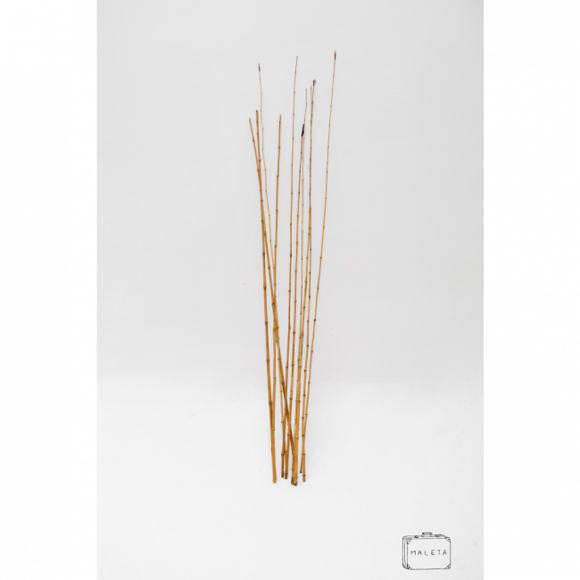 VARA DE PESCA BAMBU - A1,40