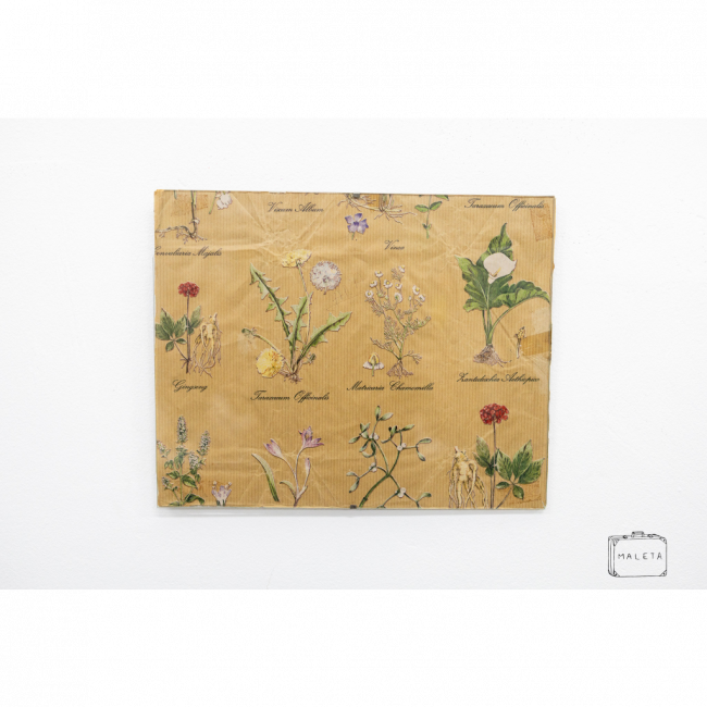 QUADRO KRAFT ÁRVORES - 30X24