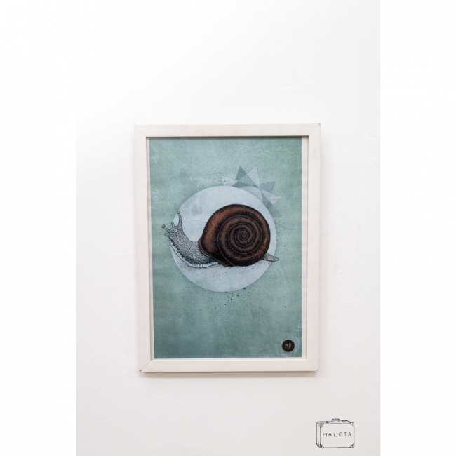 QUADRO CARAMUJO - 33X45