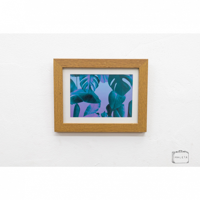 QUADRO FOLHAS COSTELA DE ADÃO - 23X18