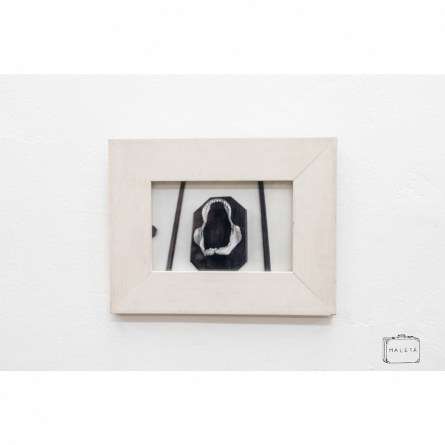 QUADRO MANDÍBULA DE TUBARÃO - 23X17
