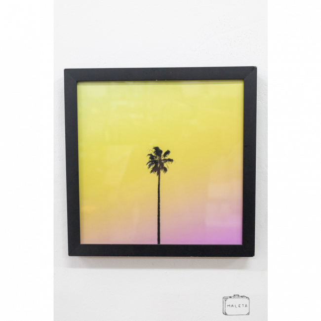QUADRO COQUEIRO - 33X33